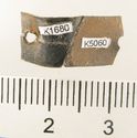 Thumbnail of Catalogue 613.  Reeded strip in silver-gilt, 8mm wide. K1680 and K5060 joined. Back. Not scaled. 