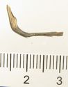Thumbnail of Catalogue 613.  Reeded strip in silver-gilt, 8mm wide. K1680 and K5060 joined. Side. Not scaled. 