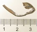 Thumbnail of Catalogue 613.  Reeded strip in silver-gilt, 8mm wide. K1680 and K999 joined. Not scaled. 