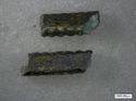 Thumbnail of Catalogue no. 242. (K1695) cast copper alloy with gilding probably from hilt-ring(s) (2) 