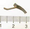 Thumbnail of Catalogue 609. Silver reeded strip with nail, back. Not scaled. 