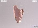 Thumbnail of Catalogue 693. Small cut red garnet K1731. Not Scaled 