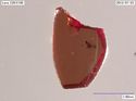 Thumbnail of Catalogue 693. Small cut red garnet K1763. Not Scaled 