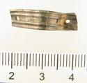 Thumbnail of Catalogue 611 (K2124 - top). Reeded strip in silver-gilt, 5mm wide. Not scaled. 