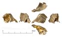 Thumbnail of Catalogue no. 26. Pommel in gold of cocked-hat form with filigree interlace 