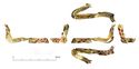 Thumbnail of Catalogue no. 180. Hilt-collar in gold, low form, cloisonné 