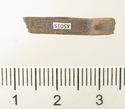 Thumbnail of Catalogue 610. Silver reeded strip, back. Not scaled. 
