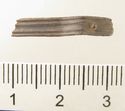Thumbnail of Catalogue 610. Silver reeded strip, front. Not scaled. 