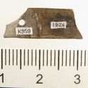 Thumbnail of Catalogue 613.  Reeded strip in silver-gilt, 8mm wide. K859 and K861 joined. Back. Not scaled. 