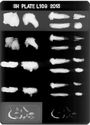 Thumbnail of X-radiograph plate no. 109 