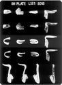 Thumbnail of X-radiograph plate no. 121 