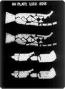 Thumbnail of X-radiograph plate no. 132 