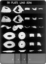 Thumbnail of X-radiograph plate no. 142 