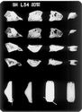 Thumbnail of X-radiograph plate no. 34 
