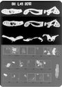 Thumbnail of X-radiograph plate no. 41 