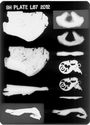 Thumbnail of X-radiograph plate no. 67 
