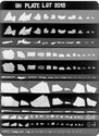 Thumbnail of X-radiograph plate no. 97 
