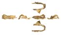 Thumbnail of Working image for catalogue no. 177. Hilt-collar in gold, low form, cloisonné 
