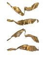 Thumbnail of Working image for catalogue no. 340. Side fragment of hilt-plate in gold 