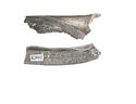 Thumbnail of Working image for catalogue no. 401  Side fragment of hilt-plate in cast silver 