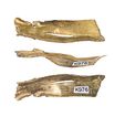 Thumbnail of Working image for catalogue no. 353. Side fragment of hilt-plate in gold 