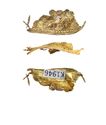 Thumbnail of Working image for catalogue no. 419 (K1946). Fragment of gold, filigree scrollwork 