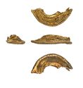 Thumbnail of Working image for catalogue no. 681 K1539. Gold filigree fragment. . 