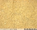 Example of Wealden Sandstone