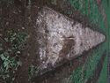 Thumbnail of Trench shot of Trench 123. 1x2m, 1x1m scale. Viewed from the North-West