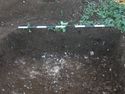 Thumbnail of East facing representative section of Test Pit 132. 1x1m scale.