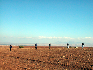 Fieldwalkers