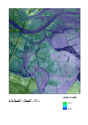 Thumbnail of flood ap mosaic merge lidar