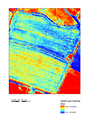 Thumbnail of geophys field Lidar intensity