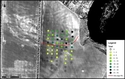 Thumbnail of 2.2.13 Volodymyrivka site transects <br  />(<b>Filename:</b> 2_2_13_Volodymyrivka_site_transects.jpg)