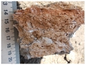 Thumbnail of 5.1.5.2 Photo19 burnt out chaff voids <br  />(<b>Filename:</b> 5_1_5_2_Photo19_burnt_out_chaff_voids.jpg)