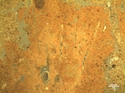 Thumbnail of 5.3.2.9.15 Fragment of rubified daub (D) with parallel planar voids (V). Sample NB 13[3] 4A. OIL <br  />(<b>Filename:</b> 5_3_2_9_15_Fragment_of_rubified_daub_TP_1_4.jpg)
