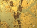 Thumbnail of 5.3.2.9.25 Channel infilled with melanised sediment (I). Sample NB13[4] 2A. OIL <br  />(<b>Filename:</b> 5_3_2_9_25_Channel_infilled_with_sedimentPit_Sondazh_1.jpg)