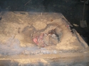 Thumbnail of D1 15 The roof of the kiln collapses <br  />(<b>Filename:</b> D1_15_The_roof_of_the_kiln_collapses.jpg)
