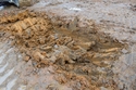 Thumbnail of Working Shot of Trial Pit 4