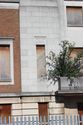 Thumbnail of Front elevation - External. Detail of window (from the East).