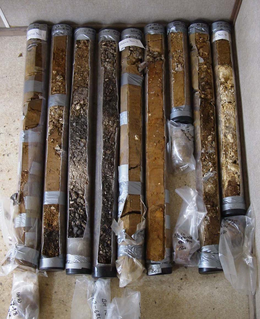 Photograph of borehole samples