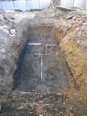 Thumbnail of Trench 5 overall shot, from east