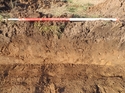 Thumbnail of SE facing section of trench 2
