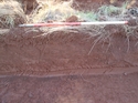 Thumbnail of Trench 4 rep section facing east