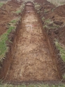 Thumbnail of Trench 3 general shot facing west