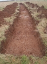 Thumbnail of Trench 4 general shot facing south