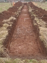 Thumbnail of Trench 5 general shot facing west