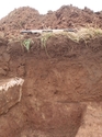 Thumbnail of Trench 3 section shot facing south