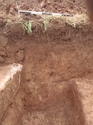 Thumbnail of Trench 3 section shot facing south