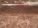 Thumbnail of Trench 7 rep section facing south